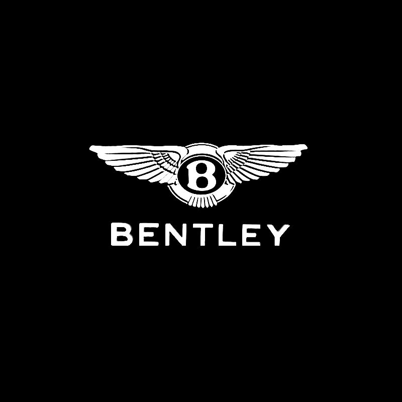 Bentley Compatible Car Door Welcome Lights