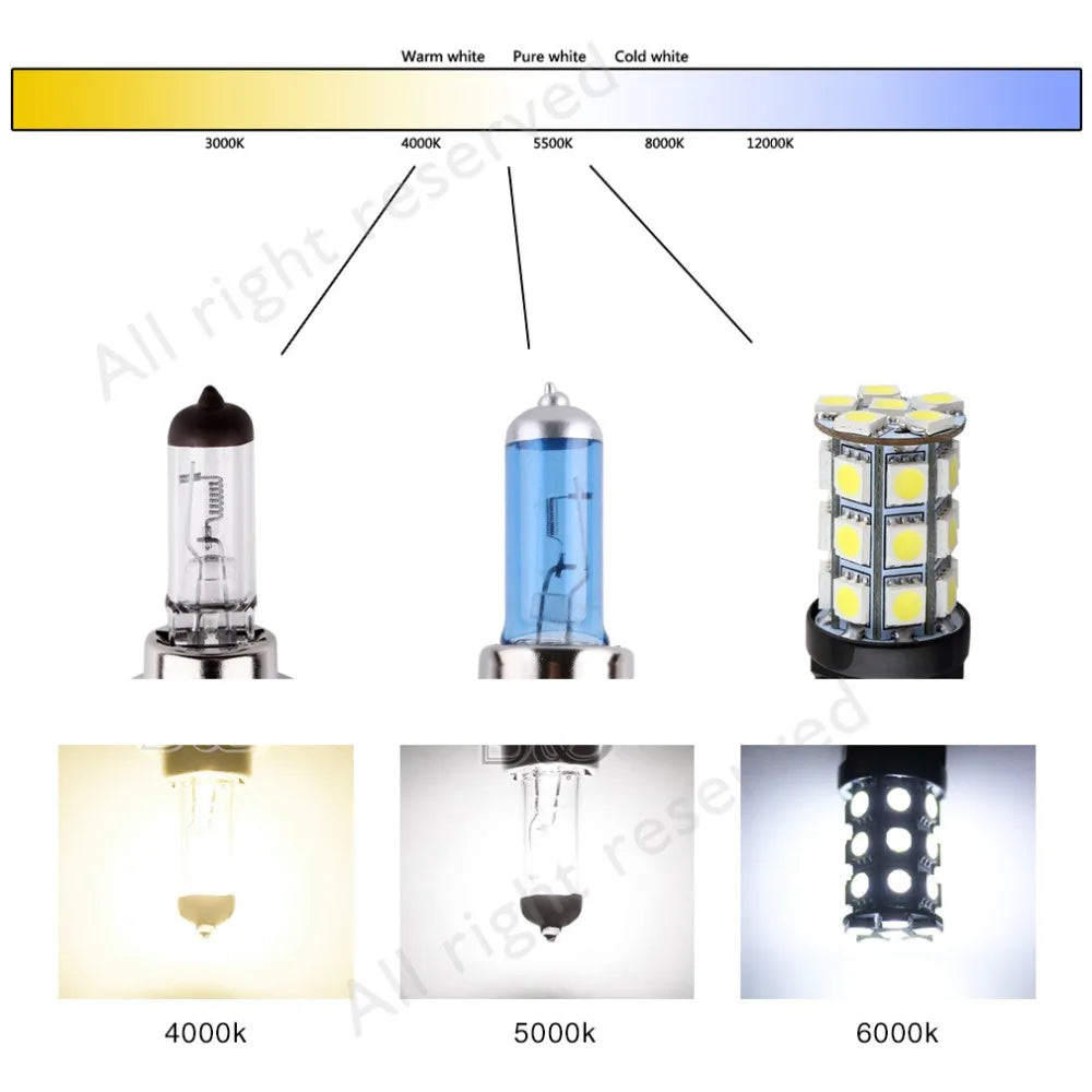 H7 55W 12V Super Bright Halogen Bulb Car Headlight Lamp Fog Lights High Power Auto Light B