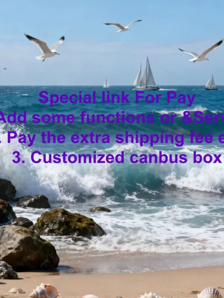 Custom Extra Fee Payment Link for Car Audio Orders | AUTOKITSHOP