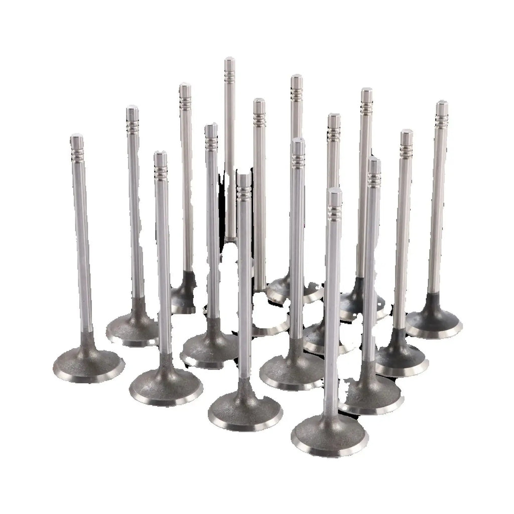 Valve Set 16PCS FOR Buick Cadillac Chevrolet 1.4L DOHC Engine Car Accessories
