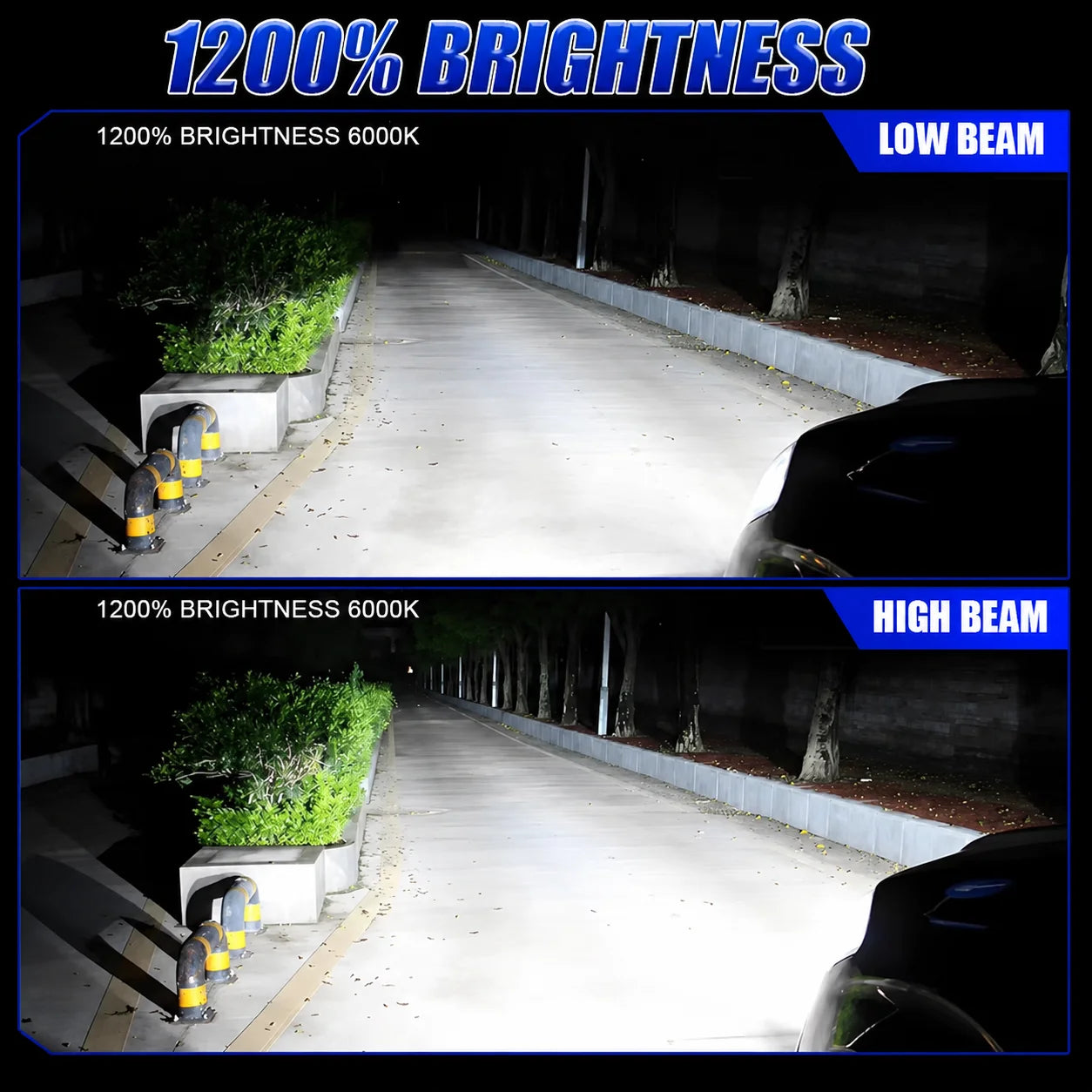 360 Led D1S D3S D5S D4S D2S Headlight Canbus Bulbs CSP Led Super Bright D1R D4R D2R D3R Ca
