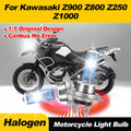 100W Halogen Headlight Bulbs 20000LM Canbus No Error Motorcycle Head Lamps 6000K White For