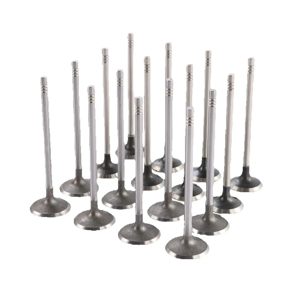 Valve Set 16PCS FOR Buick Cadillac Chevrolet 1.4L DOHC Engine Car Accessories