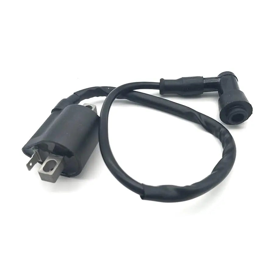 Ignition Coil for 50 70 110 125 150 200 250cc Motor Atv Dirtbike Scooter