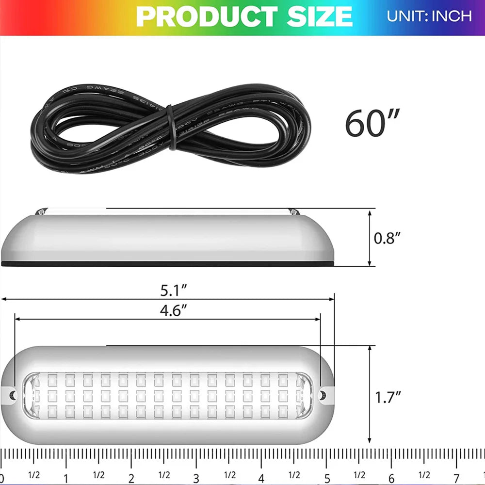 LED Interior Light Kit - Canbus Error-Free Interior Bulbs