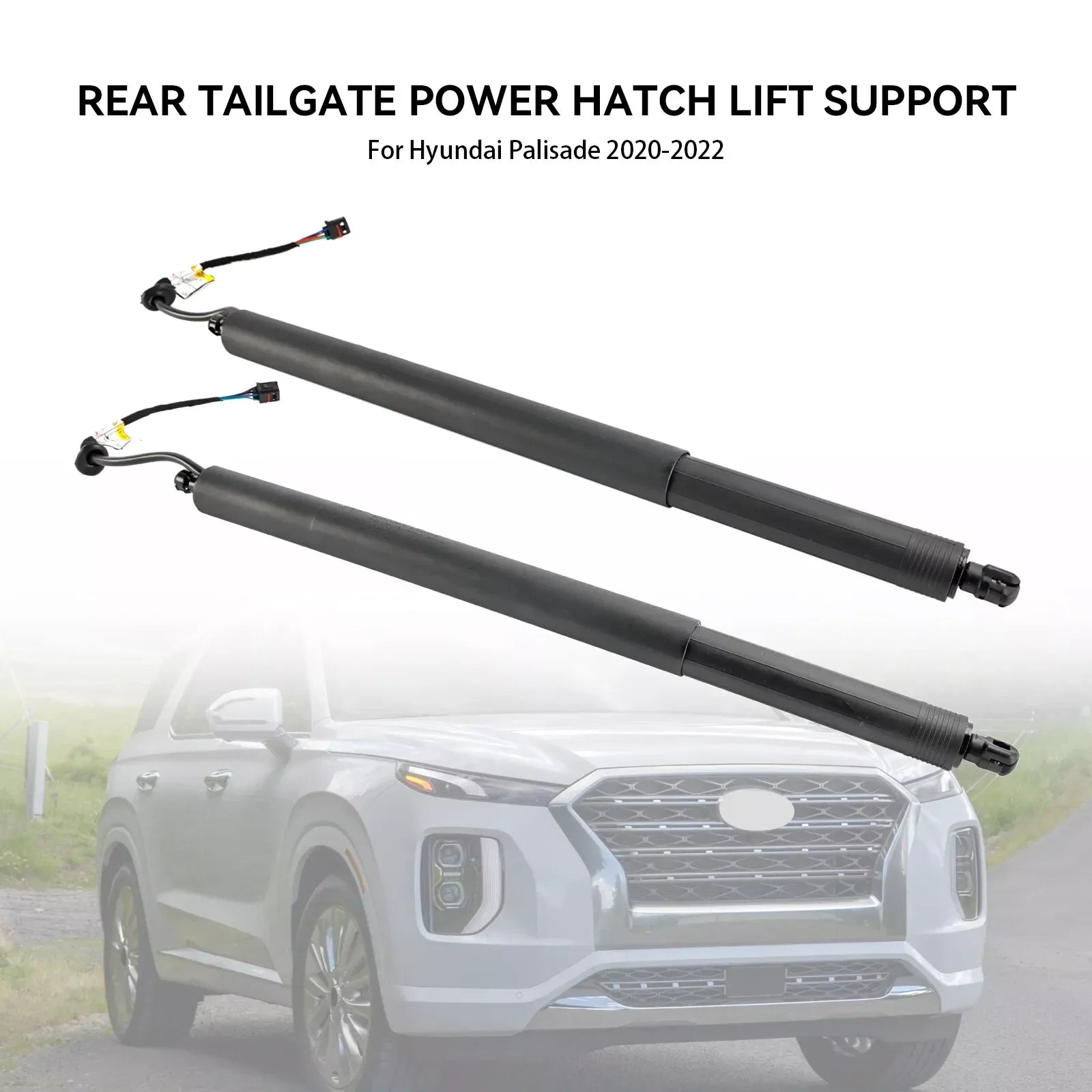 OEM-Grade 81831-S8100 81841-S8100 Brand New Rear Electric Support Rod Power Hatch Lift Sup | AUTOKITSHOP