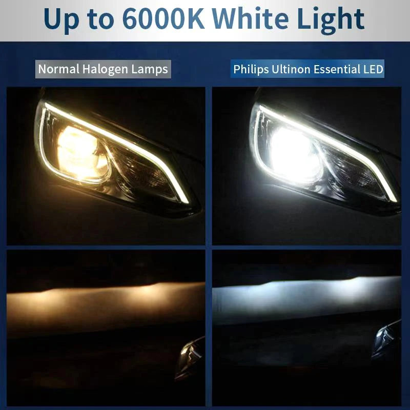 Philips LED H1 H3 H4 H7 H11 Ultinon Pro3101 12V/24V 6000K Bright White HB3 9005 HB4 9006 H