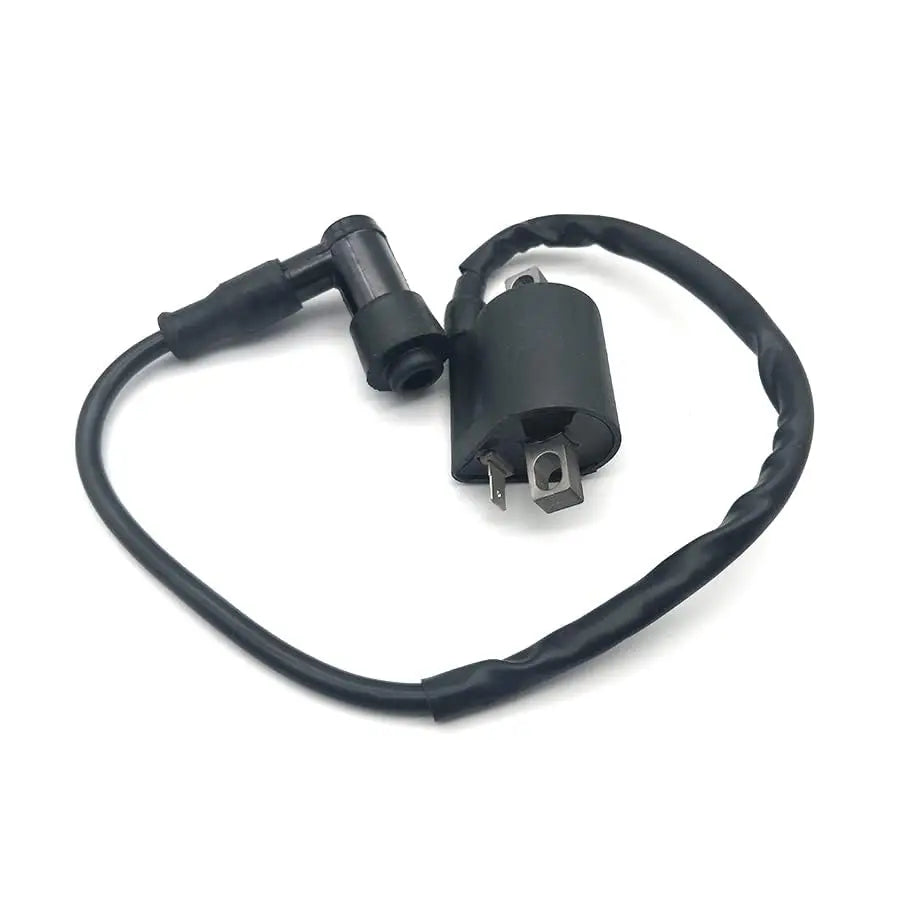 Ignition Coil for 50 70 110 125 150 200 250cc Motor Atv Dirtbike Scooter
