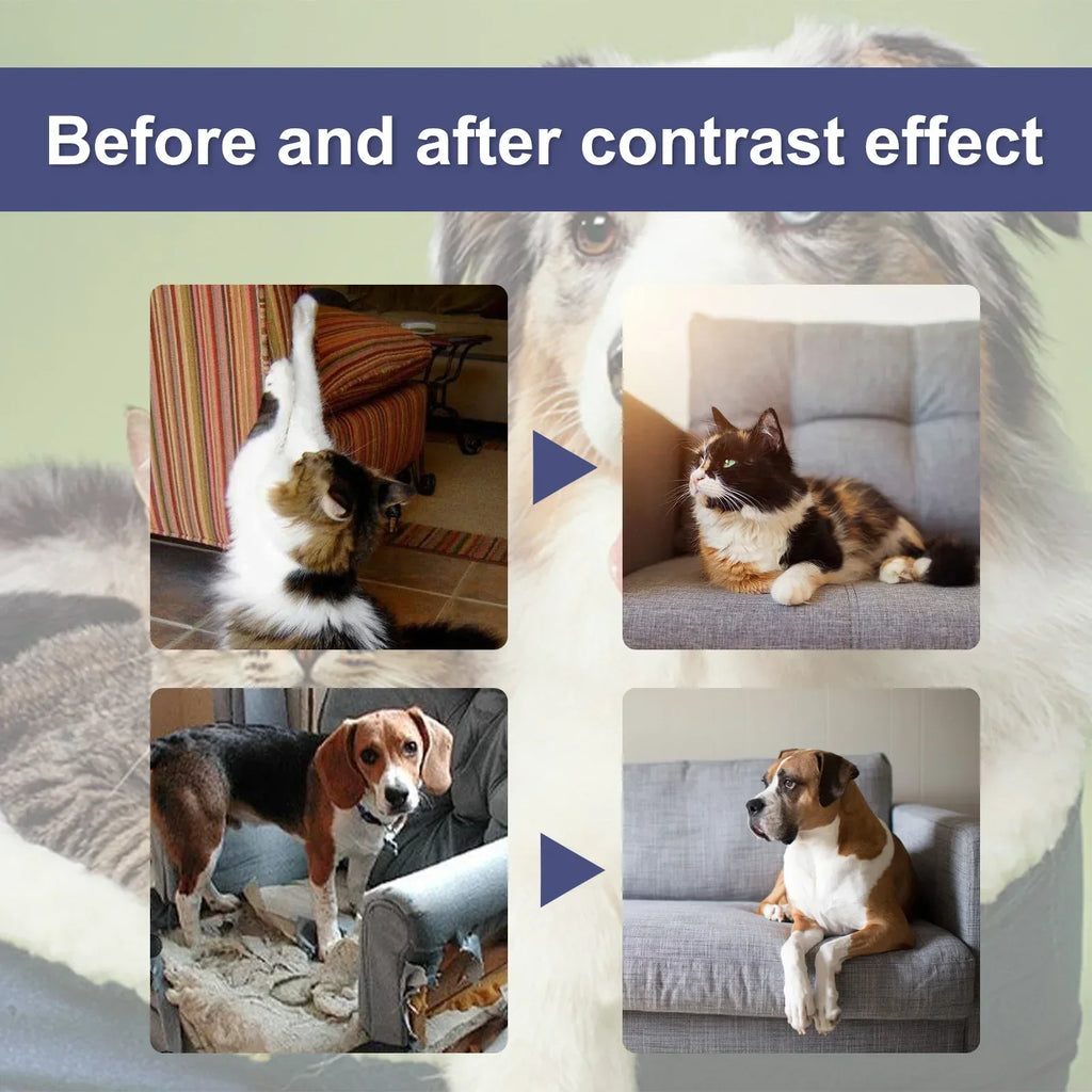 50ml Cat Scratch Deterrent Spray Natural Scratching Training Aid Spray No Stimulation Orange Fra - Automotive LED Light