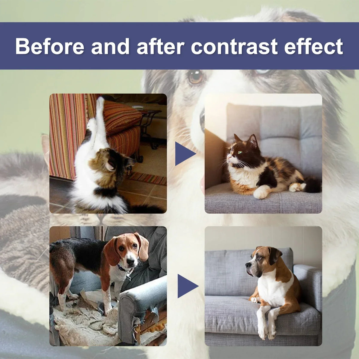 50ml Cat Scratch Deterrent Spray Natural Scratching Training Aid Spray No Stimulation Orange Fra - Automotive LED Light