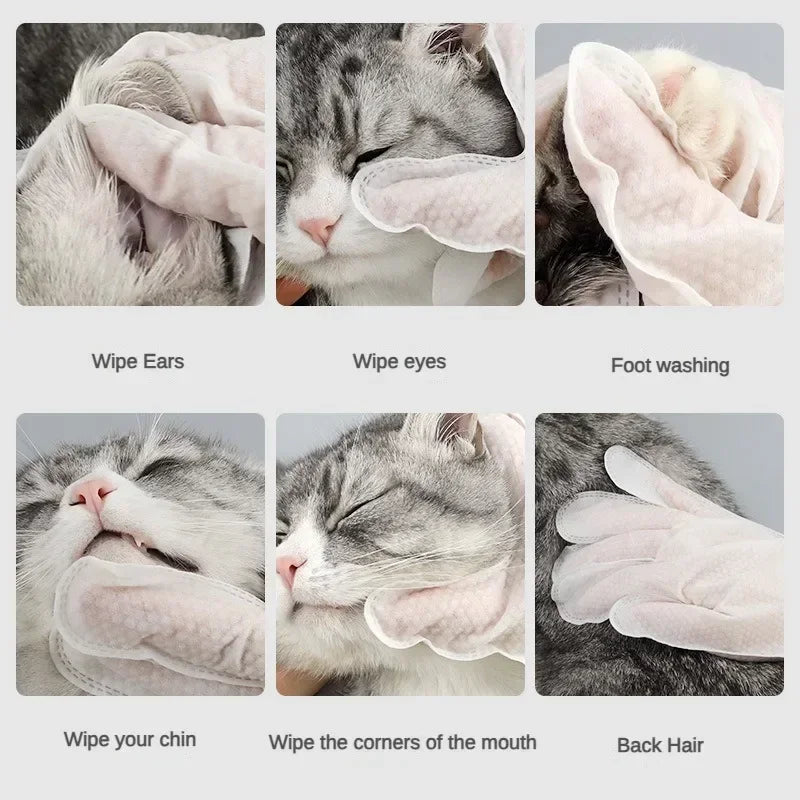 6pcs Pet Disposable Gloves Cat Dog Wipes No Rinse Washing Gloves Grooming Pet Cat Dog Ear Eye Cl - Automotive LED Light