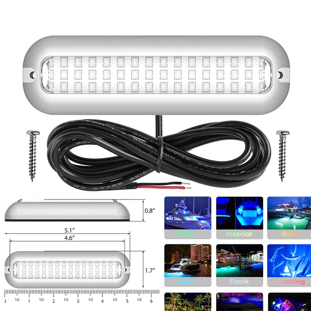 LED Interior Light Kit - Canbus Error-Free Interior Bulbs