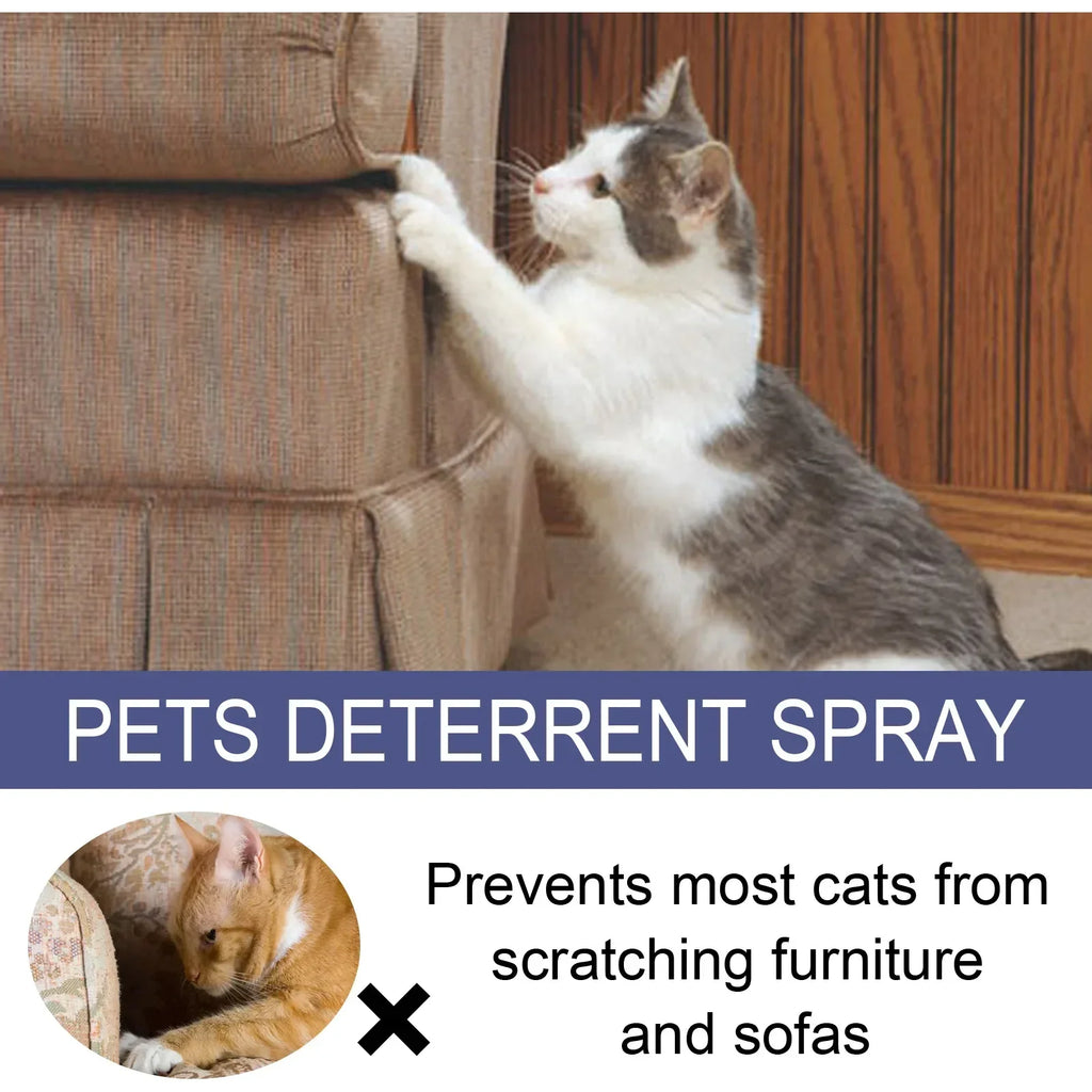 50ml Cat Scratch Deterrent Spray Natural Scratching Training Aid Spray No Stimulation Orange Fra - Automotive LED Light