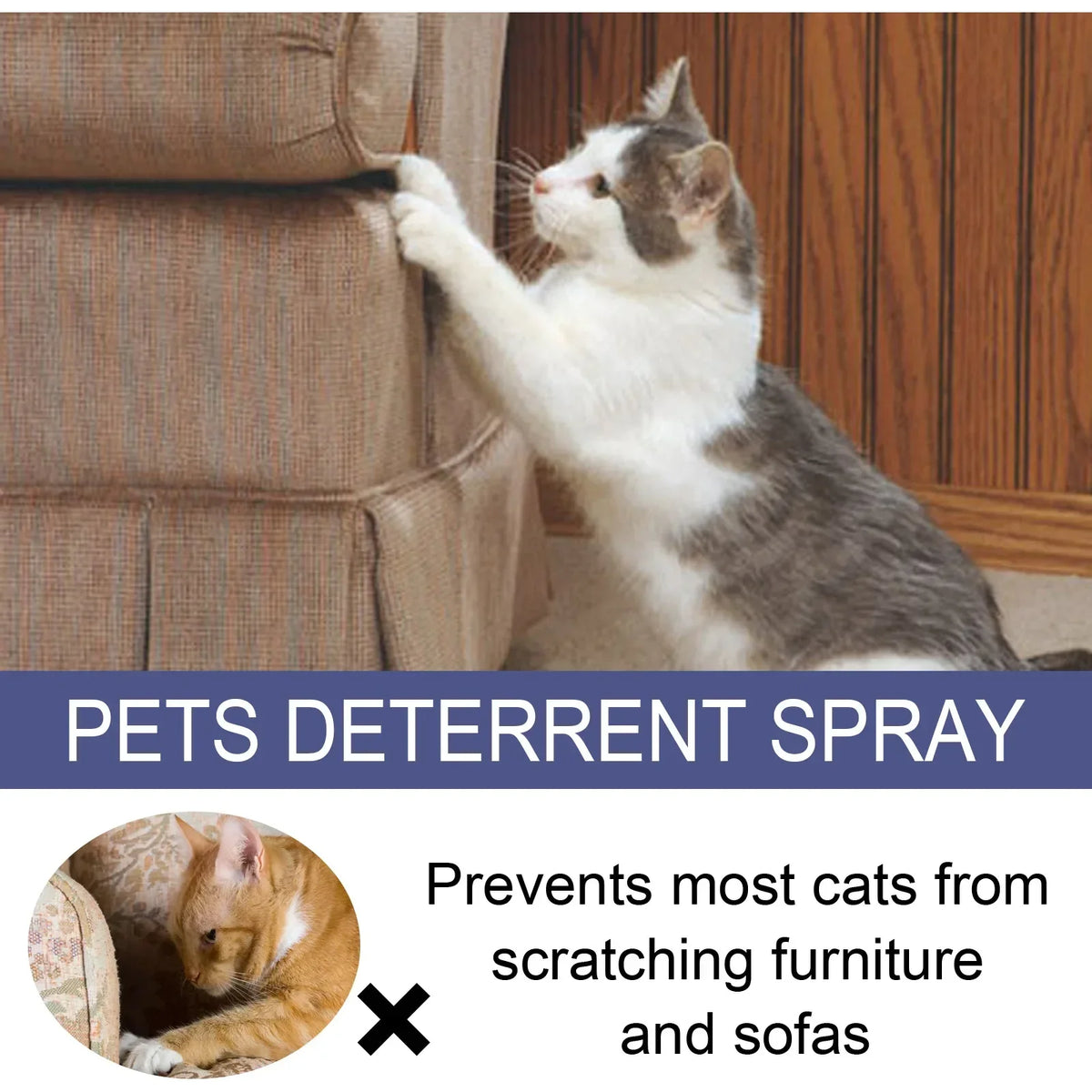 50ml Cat Scratch Deterrent Spray Natural Scratching Training Aid Spray No Stimulation Orange Fra - Automotive LED Light