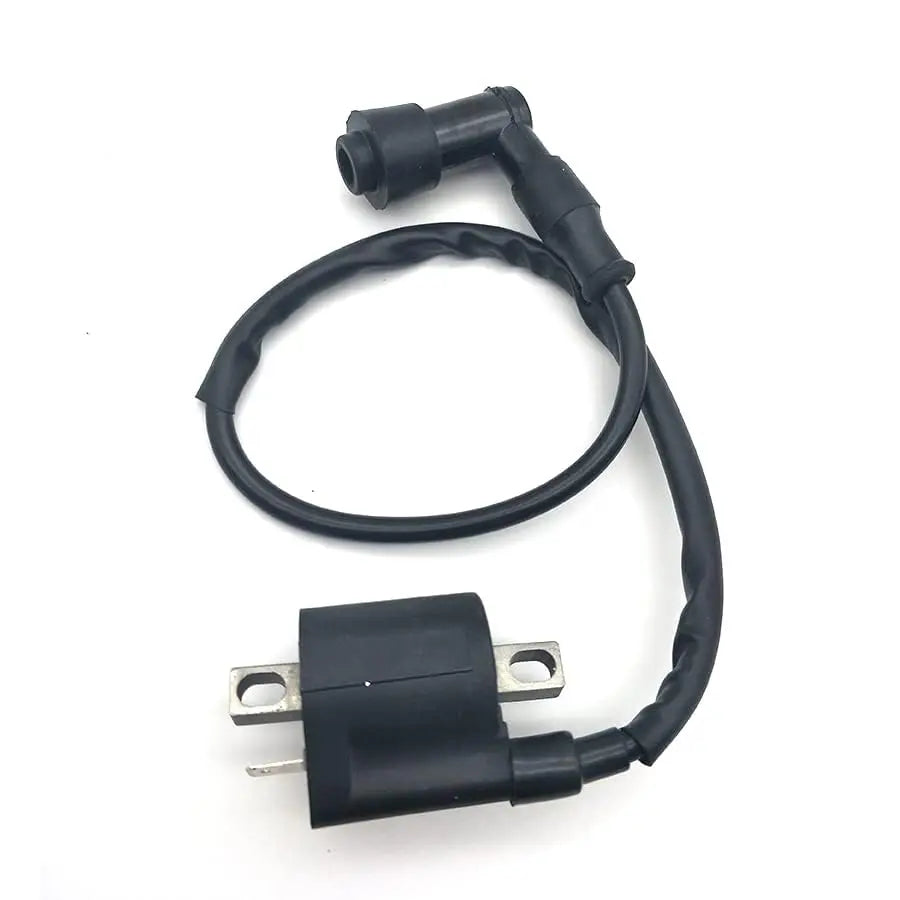 Ignition Coil for 50 70 110 125 150 200 250cc Motor Atv Dirtbike Scooter