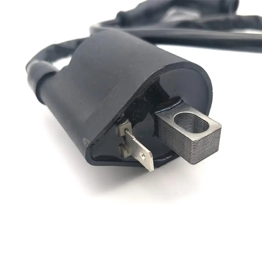 Ignition Coil for 50 70 110 125 150 200 250cc Motor Atv Dirtbike Scooter
