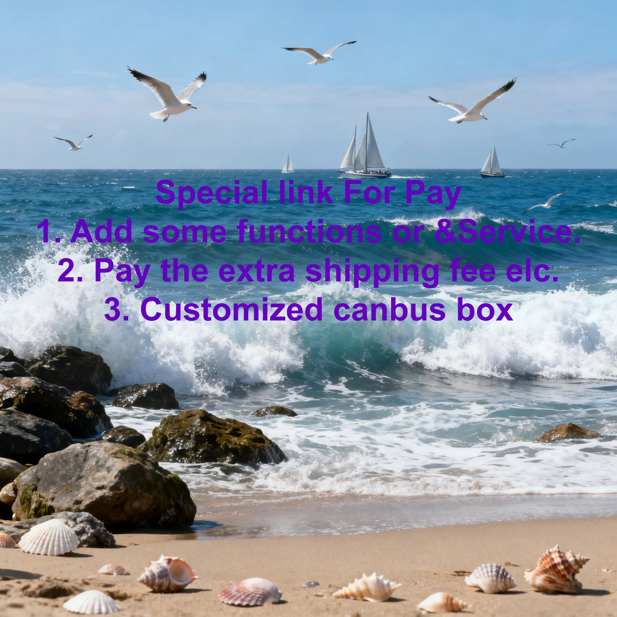 Custom Car Audio Extra Fee Payment Link – Order Add-On | AUTOKITSHOP