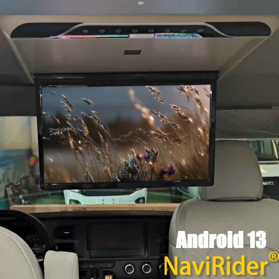 RGB - Ambient Light - Car Interior Lighting